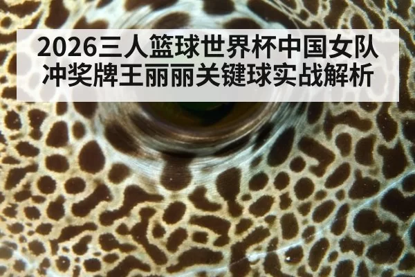 2026三人篮球世界杯中国女队冲奖牌王丽丽关键球实战解析